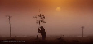 Foto: Arnfinn Johansen (www.arnfinnjohansen.com)